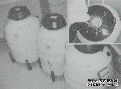 图2-5 保存胚胎的液氮罐